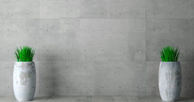 conseils pour un aménagement moderne et esthétique avec un Mur en béton intérieur