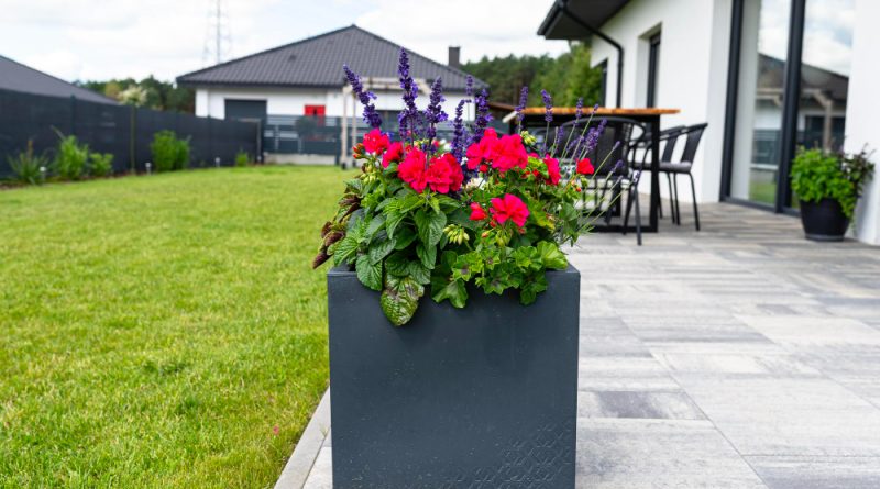 choisir le modèle idéal du Pot de fleur xxl pour votre jardin